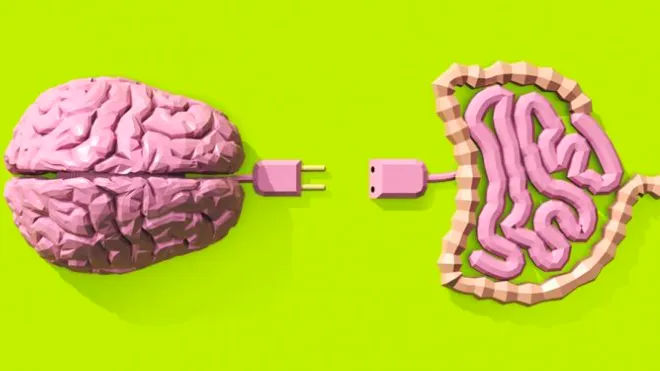 Captura-de-pantalla-2017-05-13-a-las-3.42.32-PM