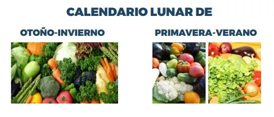 Calendario lunar