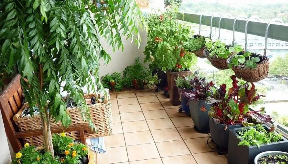 huertos-urbanos-cuarentena-infocampo