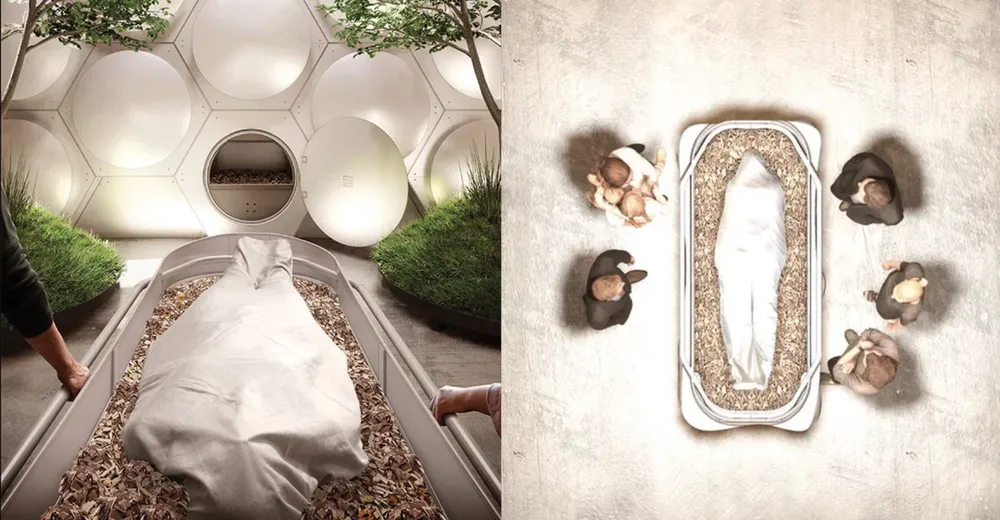 Captura-de-Pantalla-2019-11-25-a-las-12.57.41