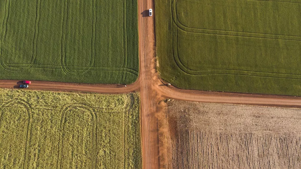 Cultivo extensivo en Alto Paraná (Paraguay)