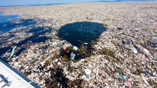 Contaminación en isla del caribe