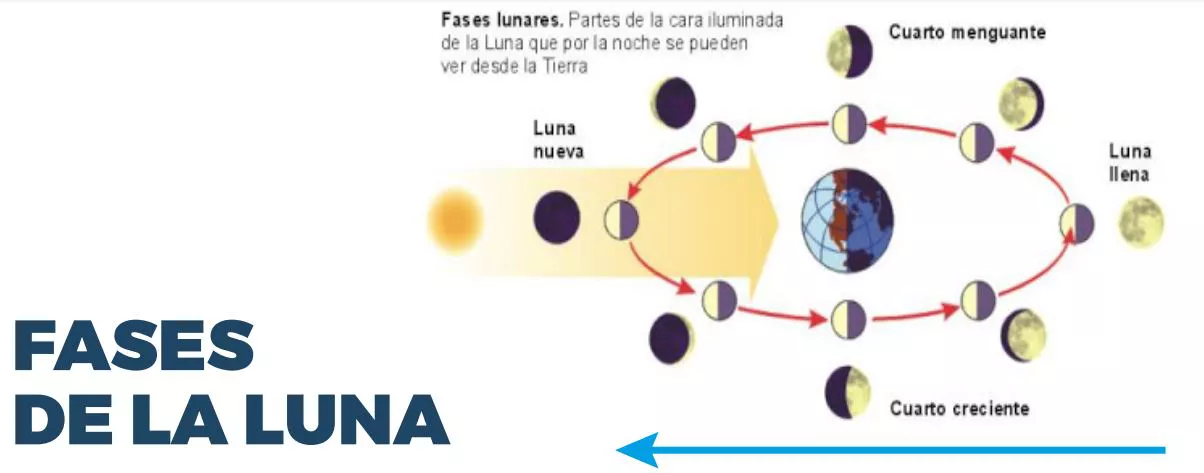 Fases lunares