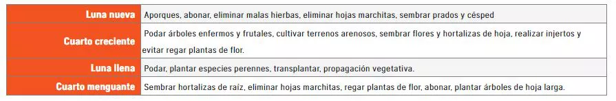 Resumen tareas segun cada fase lunar