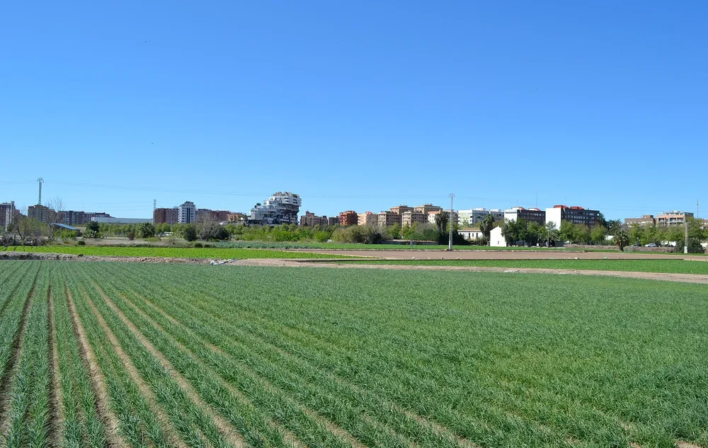 1920px-Huerta_urbana2C_Valencia_01