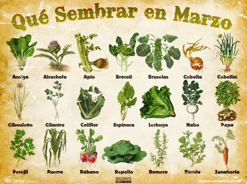 MARZO