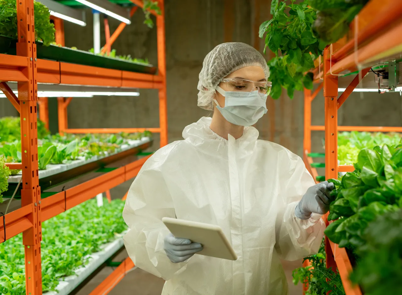 Agricultura Vertical